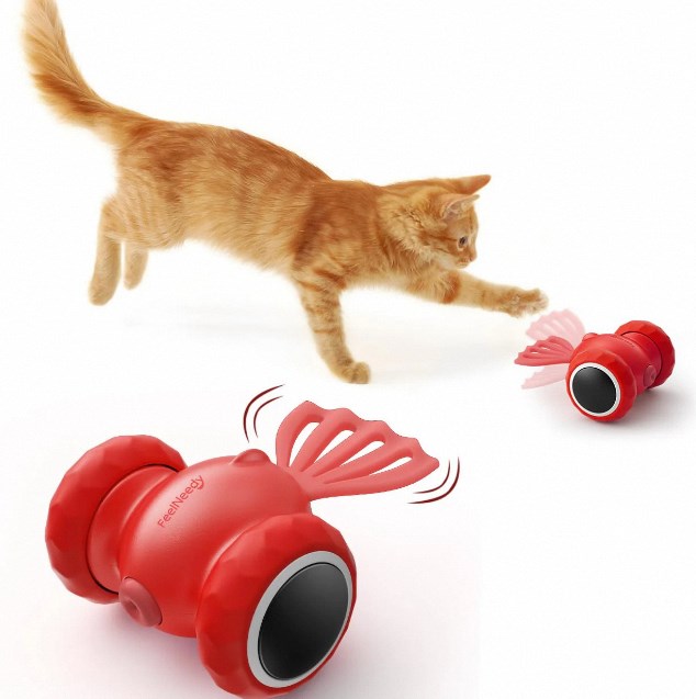 interactive cat toy