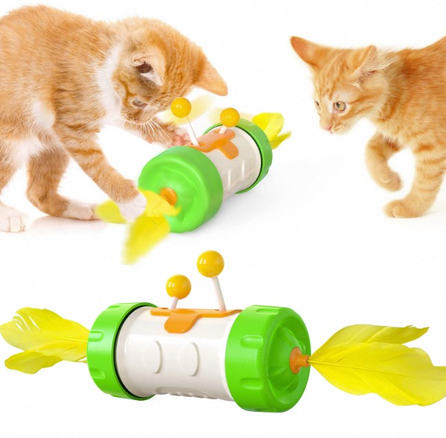 interactive cat toy