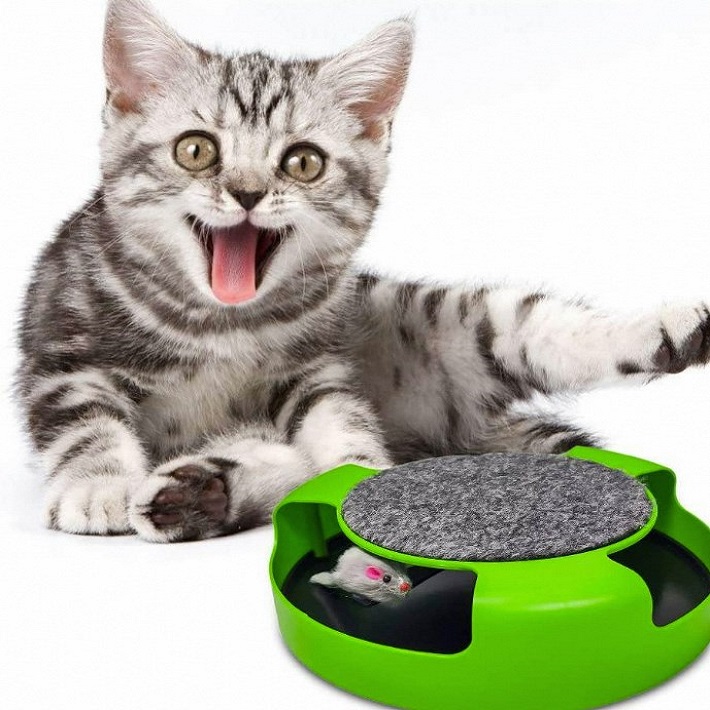 toy for cats