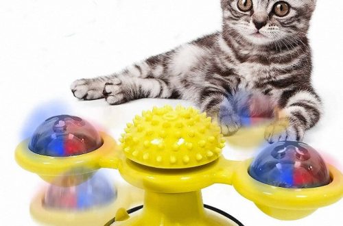 toy for cats